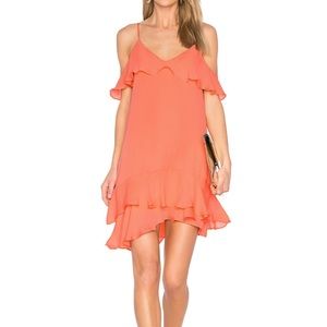 Parker Thatcher dress